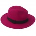 Fashion   Unisex Fedora Hat Trilby Cuban Style Wide Brim Cap Hat Panama  eb-95579755